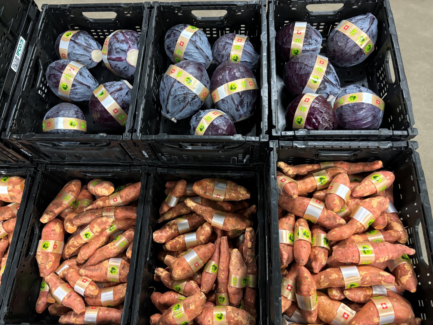 ATS US-2000 AD ������������� ������