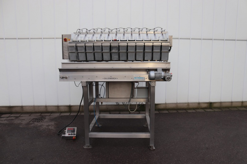 Многоголовочные весы Newtec Type 2012DG