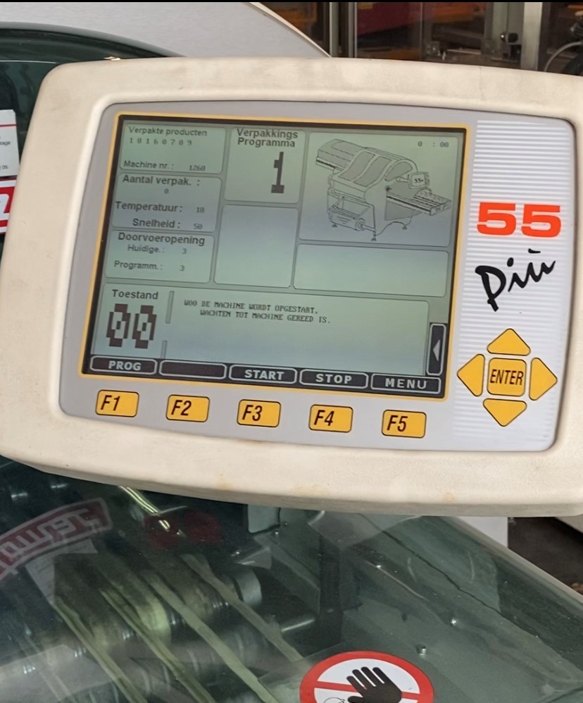 Fabbri Waldyssa Automac 55 Piu model B-220 stretch foil packaging machine