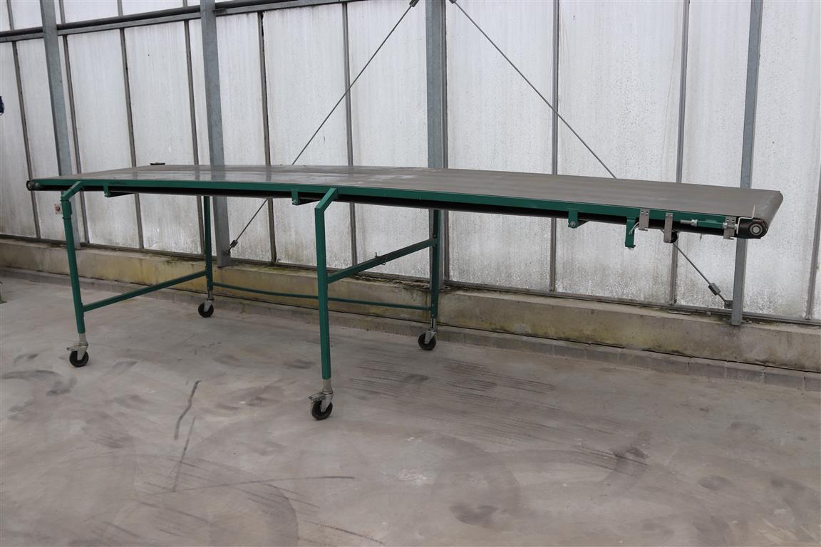 Конвейер Olimex 450 x 100 см