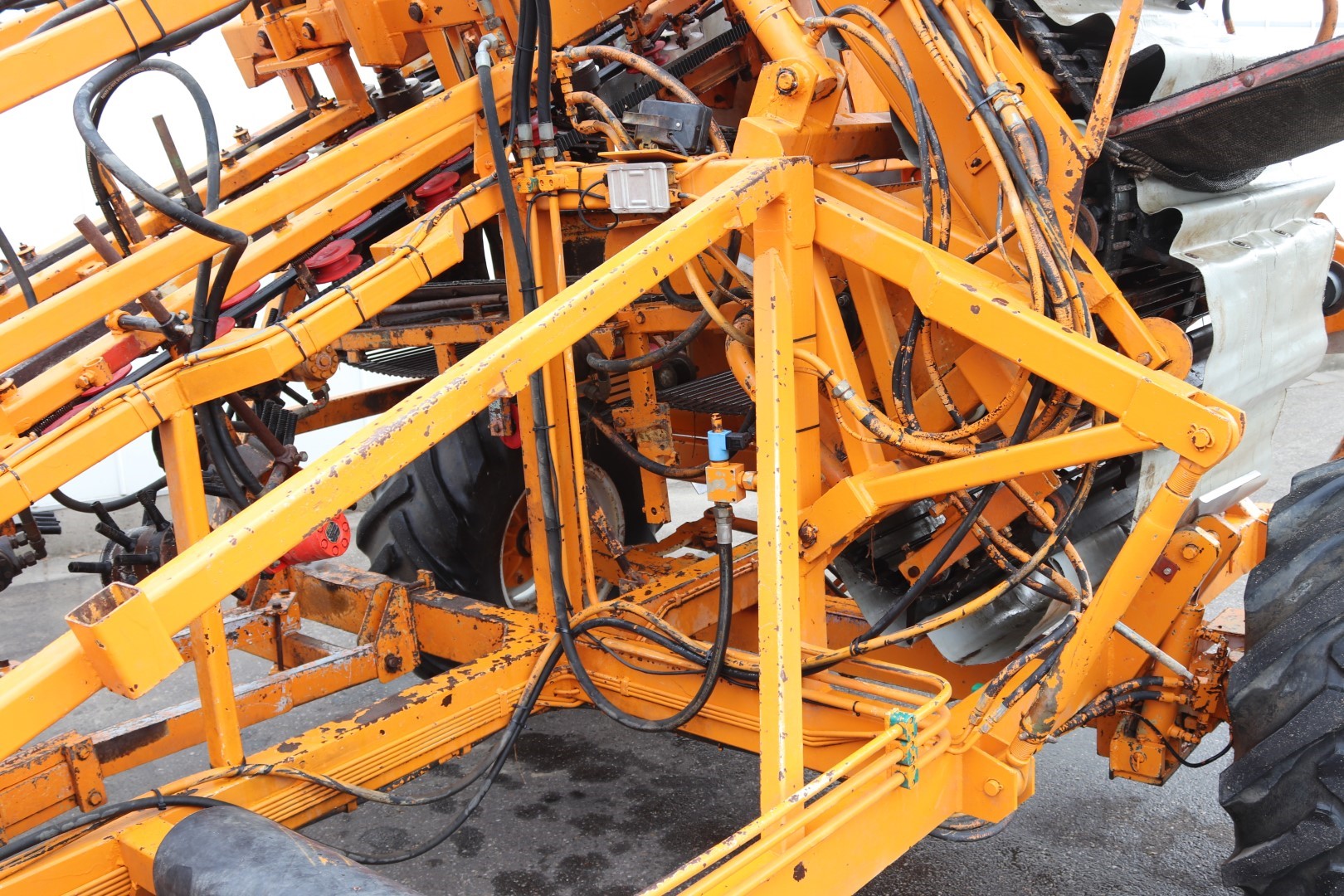 Vecon-RVL carrot harvester 2 rows
