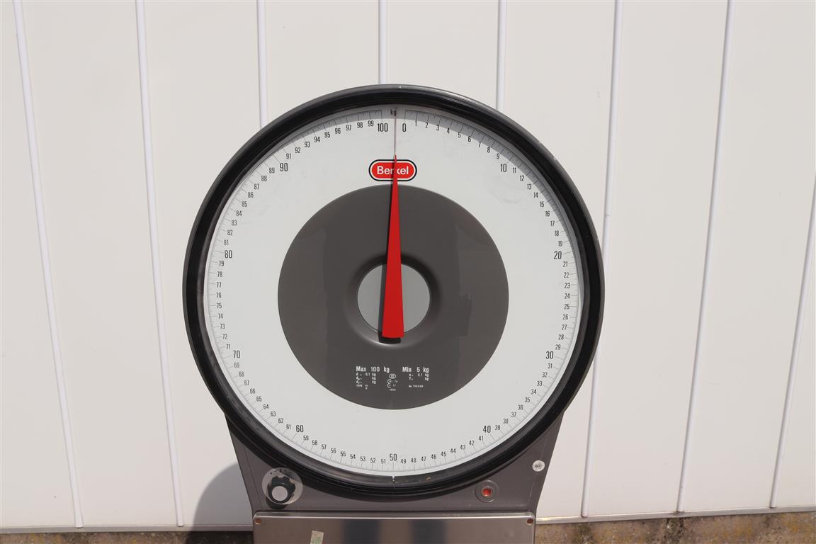 ���� ��� ����� Berkel ����� 100 ��