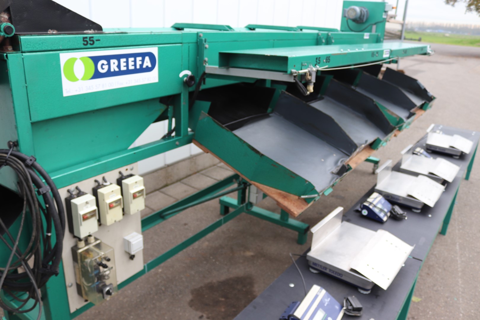 Greefa sorting machine for peppers