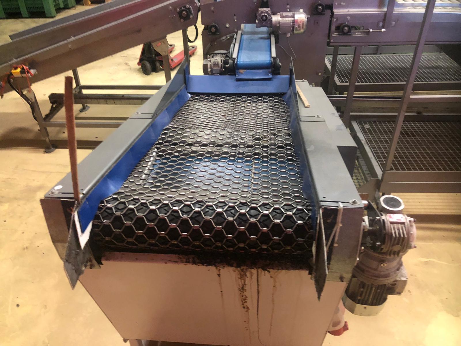 Compac electronic weight grader for apricots and plums