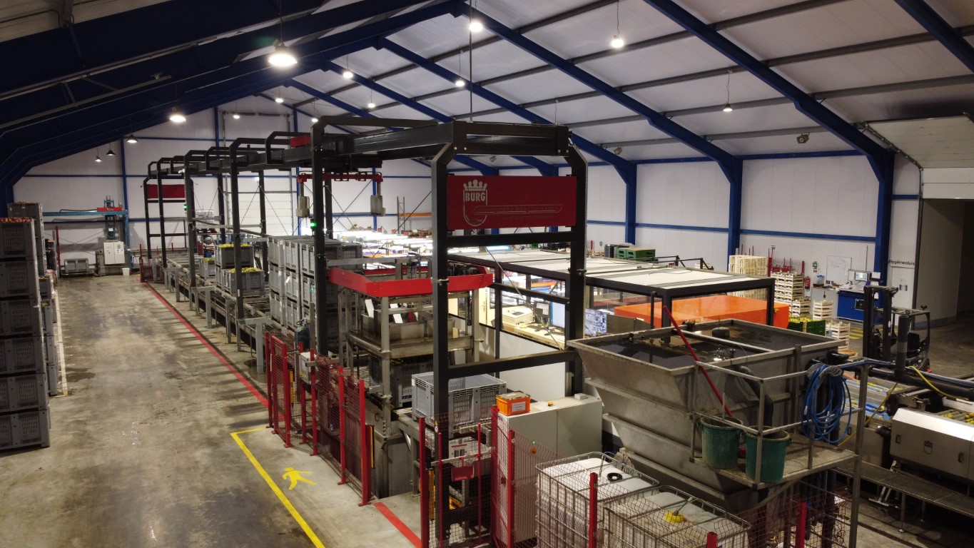 Wamel Perfect Unigrader 8 строк