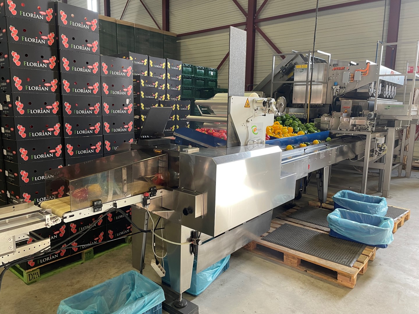Affeldt Statera AVN 170 - 14 chanel weighing machine