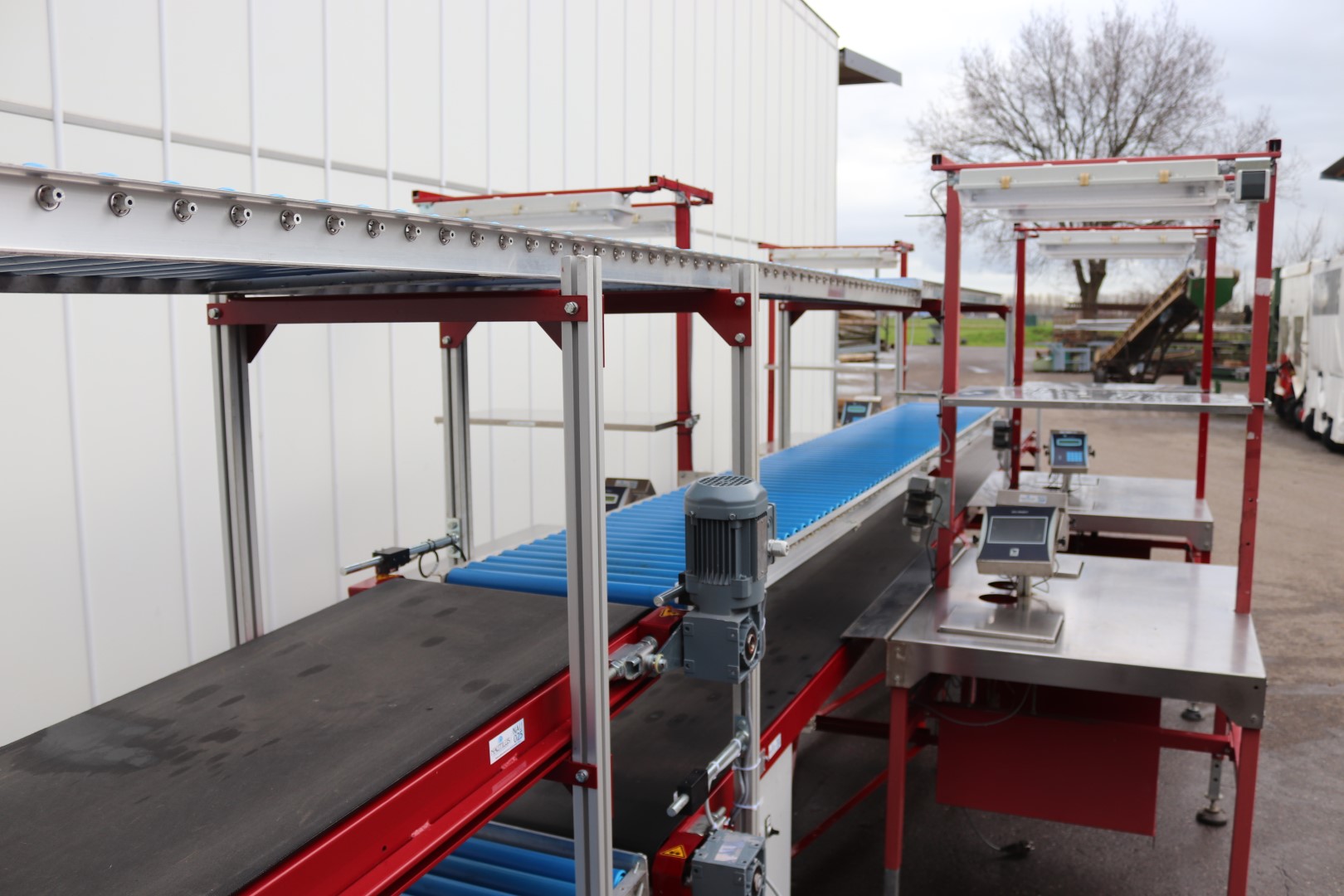 Taks packing line for tomatoes