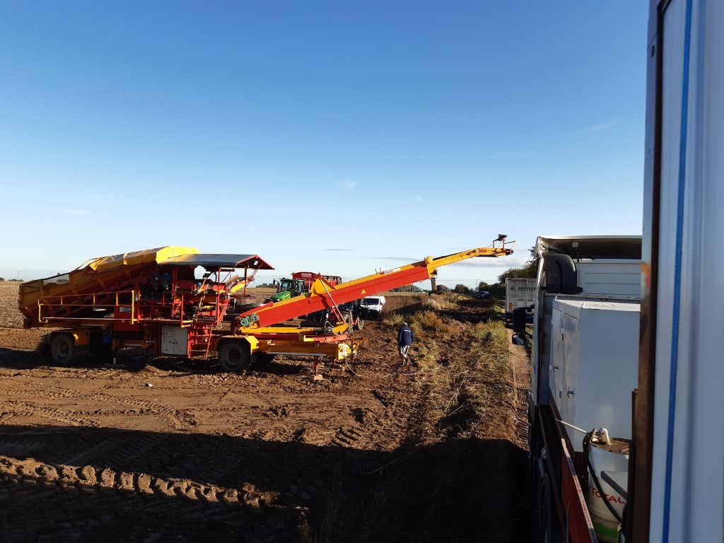 Spinnekop Combine Приемный бункер с очистителем, инспекционным конвейером и подъемником
