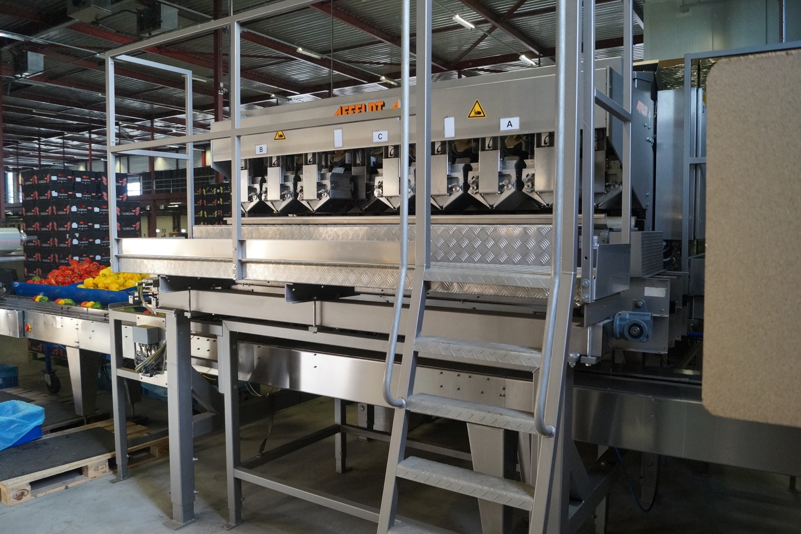 Affeldt weighing machine with GNA flowpacking machine for bell peppers