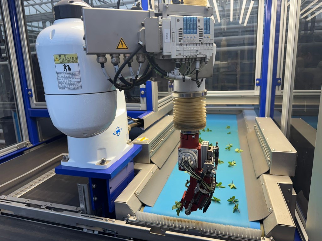 ISO 2500 & Planter Combi Линия для посадки растений Автоматический робот для резки и посадки растений в лотки и горшки