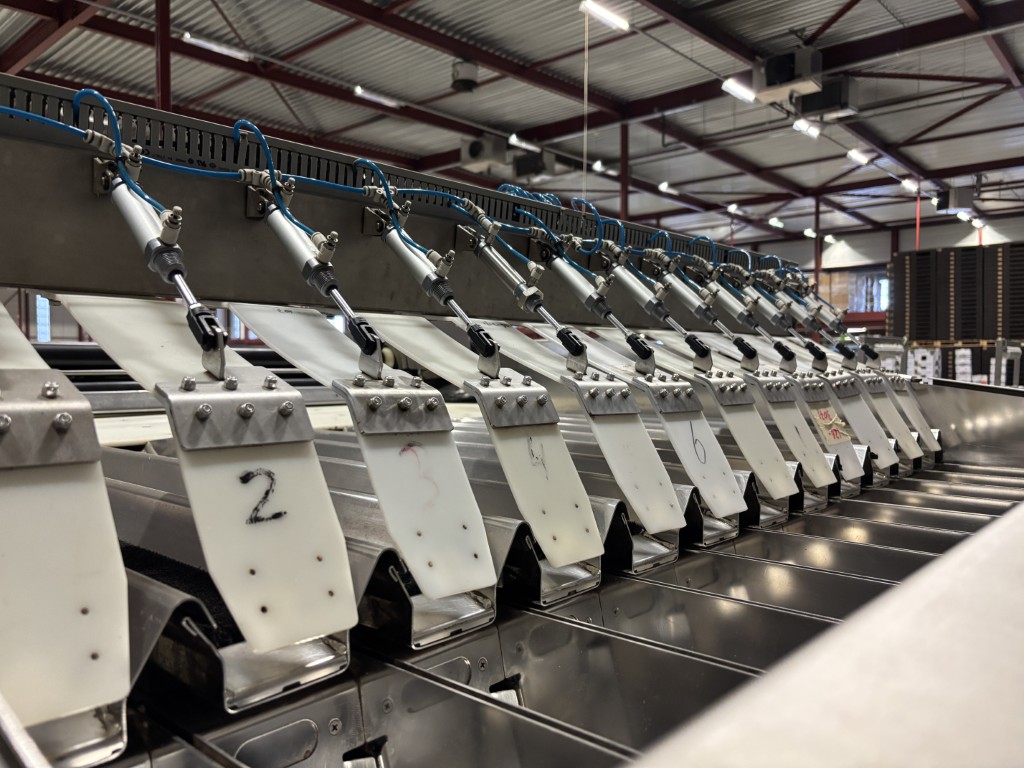 Sorma W12-126 ����� ����������� � �����������, ������������ ����������� � ����������� ��� ������� �����������