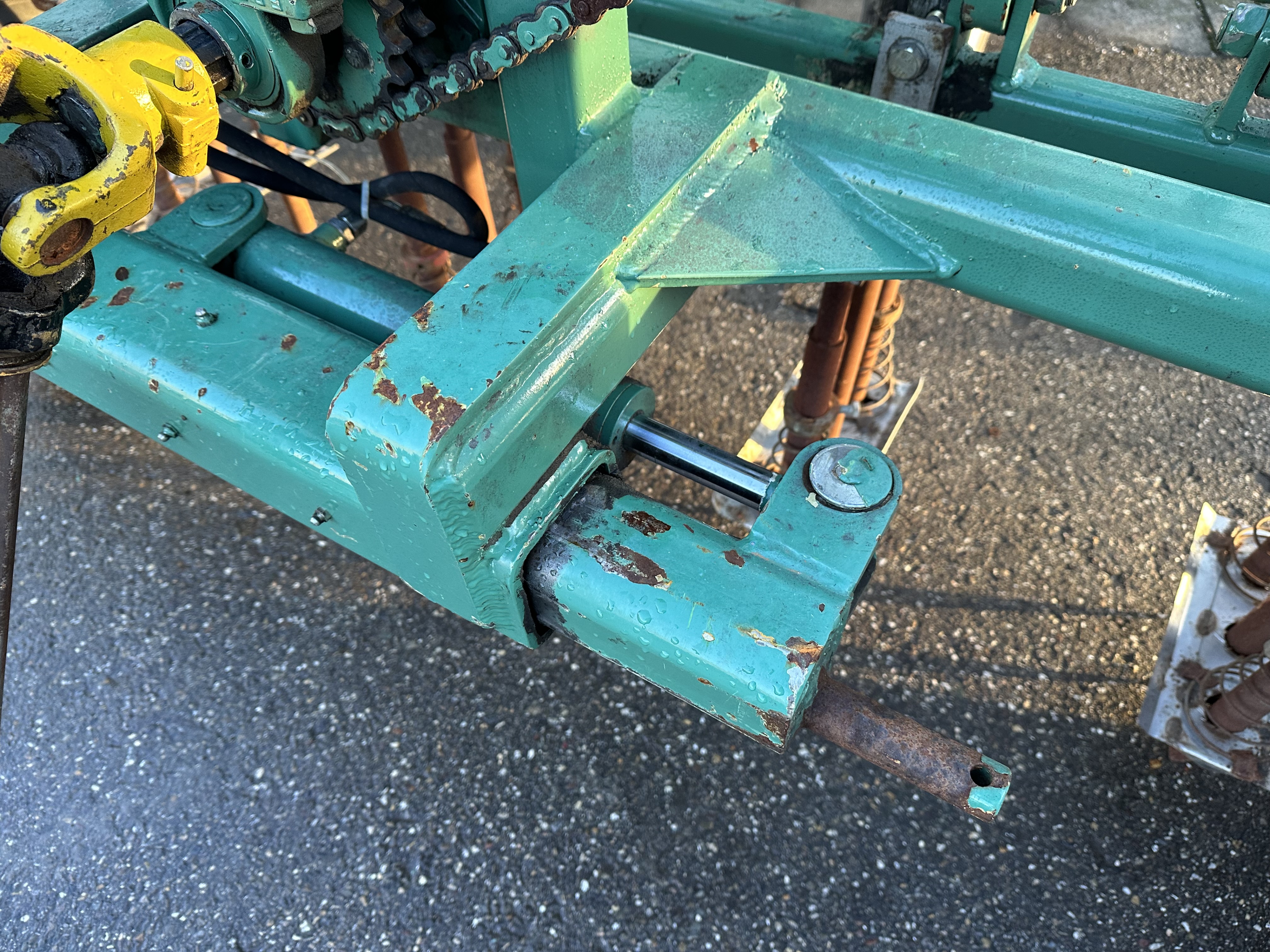 Baekelandt Dibbler ��� ����-�����