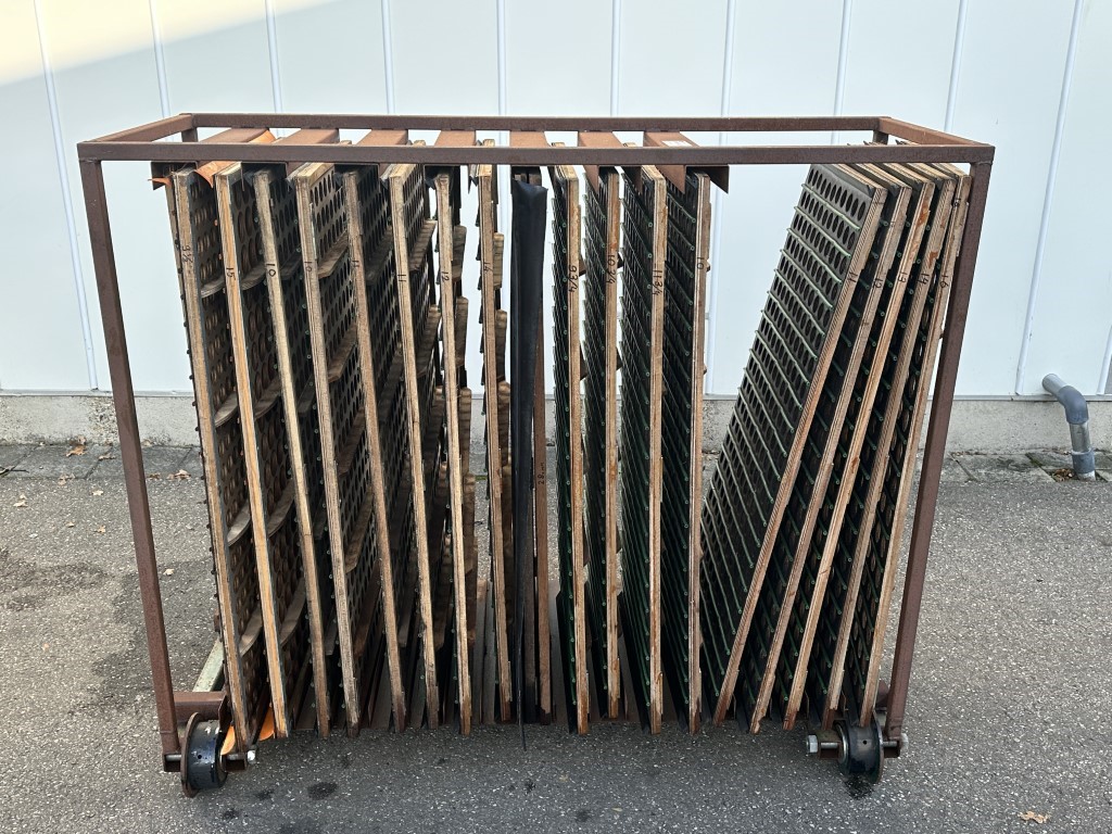 Compas ES120x60 SB5 Сортировочная машина для луковиц цветов и брюссельской капусты