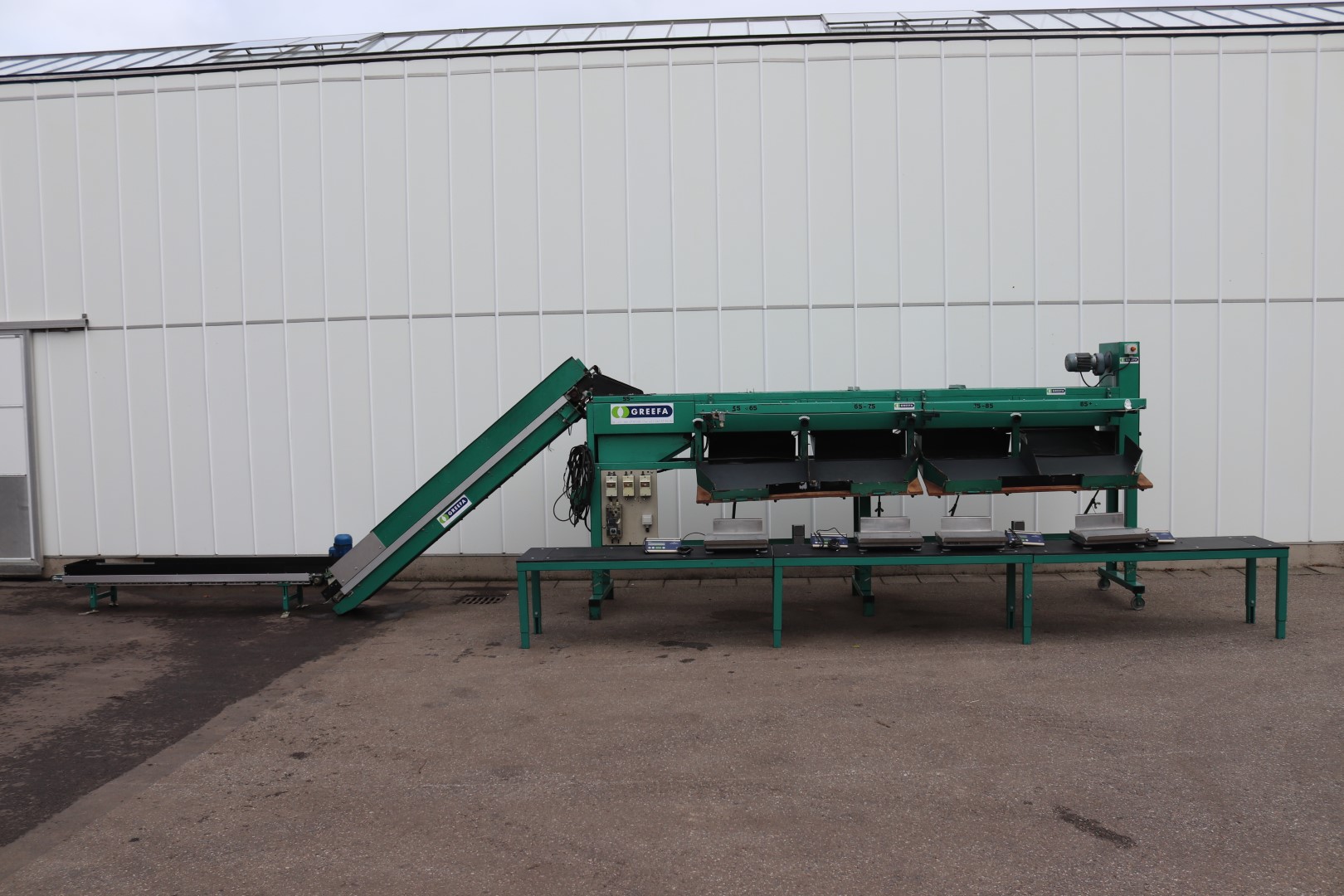 Greefa sorting machine for peppers