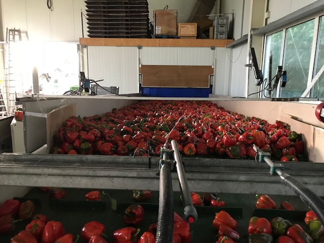 �������� Berg 825 �� x 215 ��