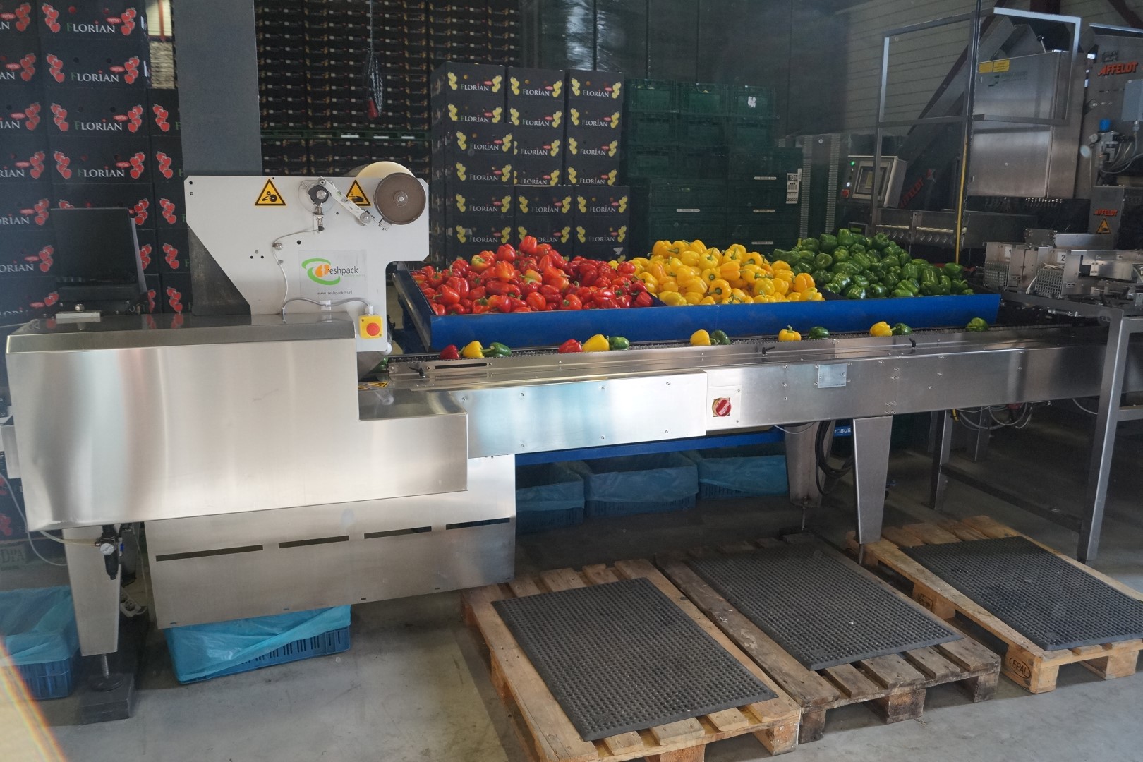 Affeldt weighing machine with GNA flowpacking machine for bell peppers
