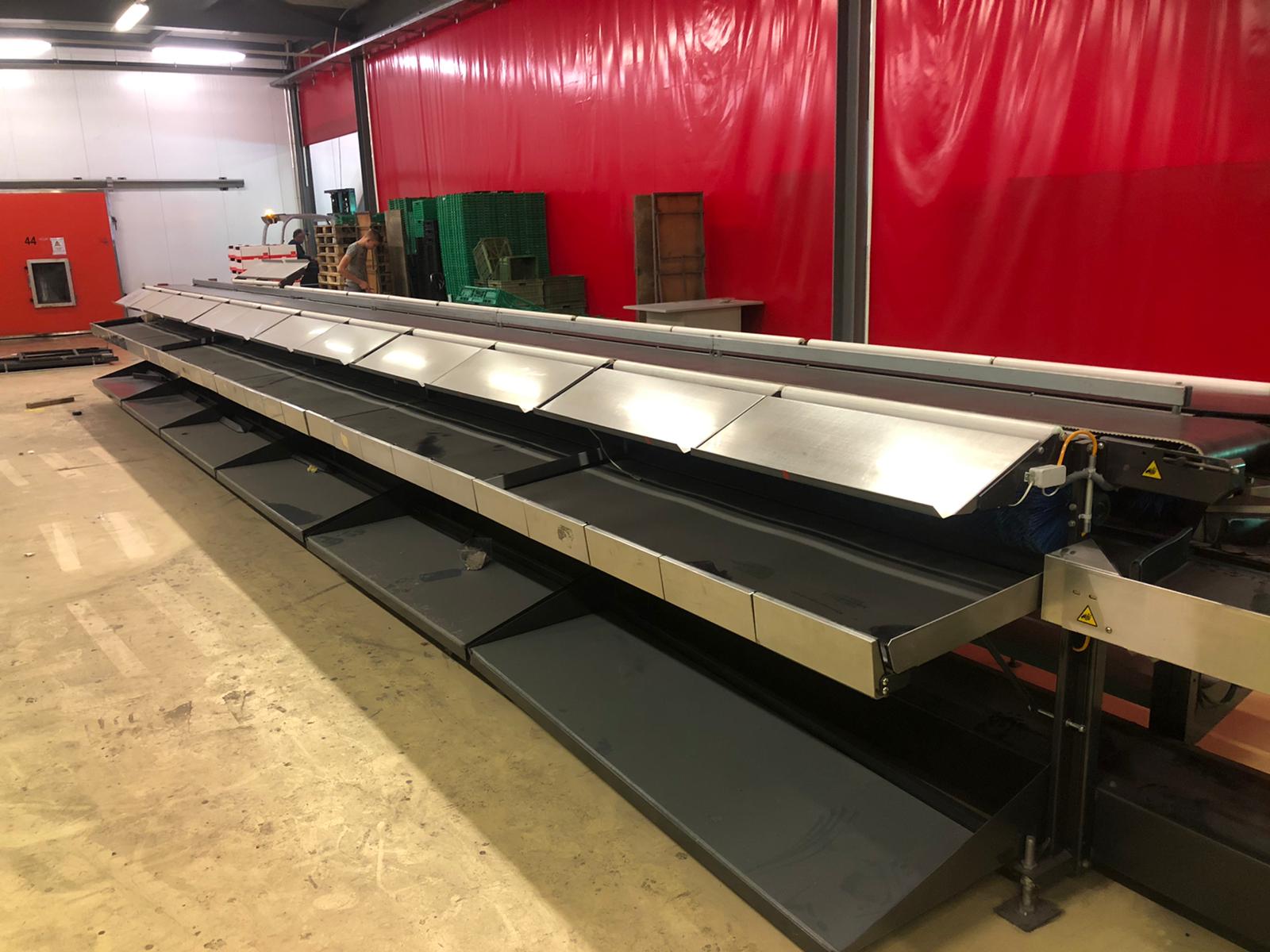 Compac electronic weight grader for apricots and plums