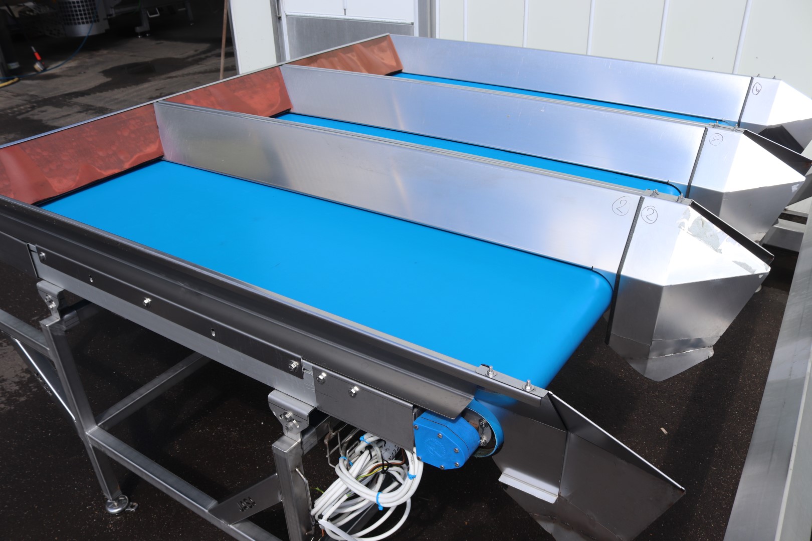 Newtec 14-head weighing machine with supply conveyors