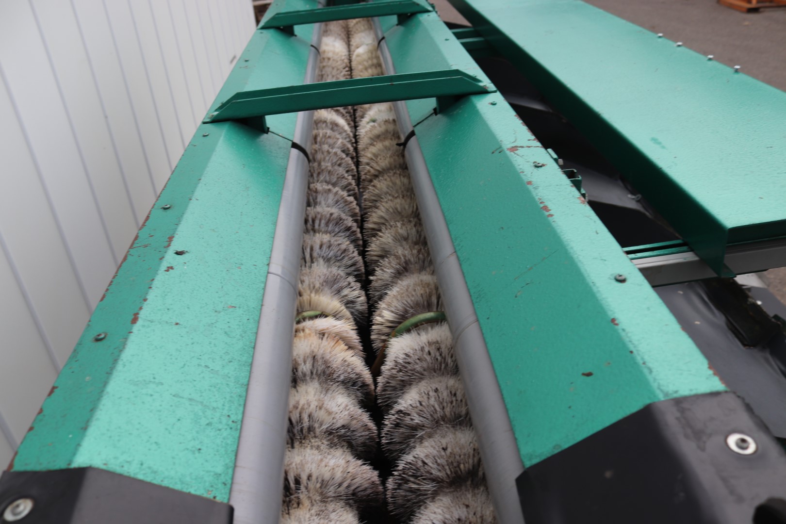 Greefa sorting machine for peppers