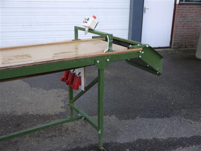 Конвейер Schouten 600 x 60 см с регулируемой скоростью