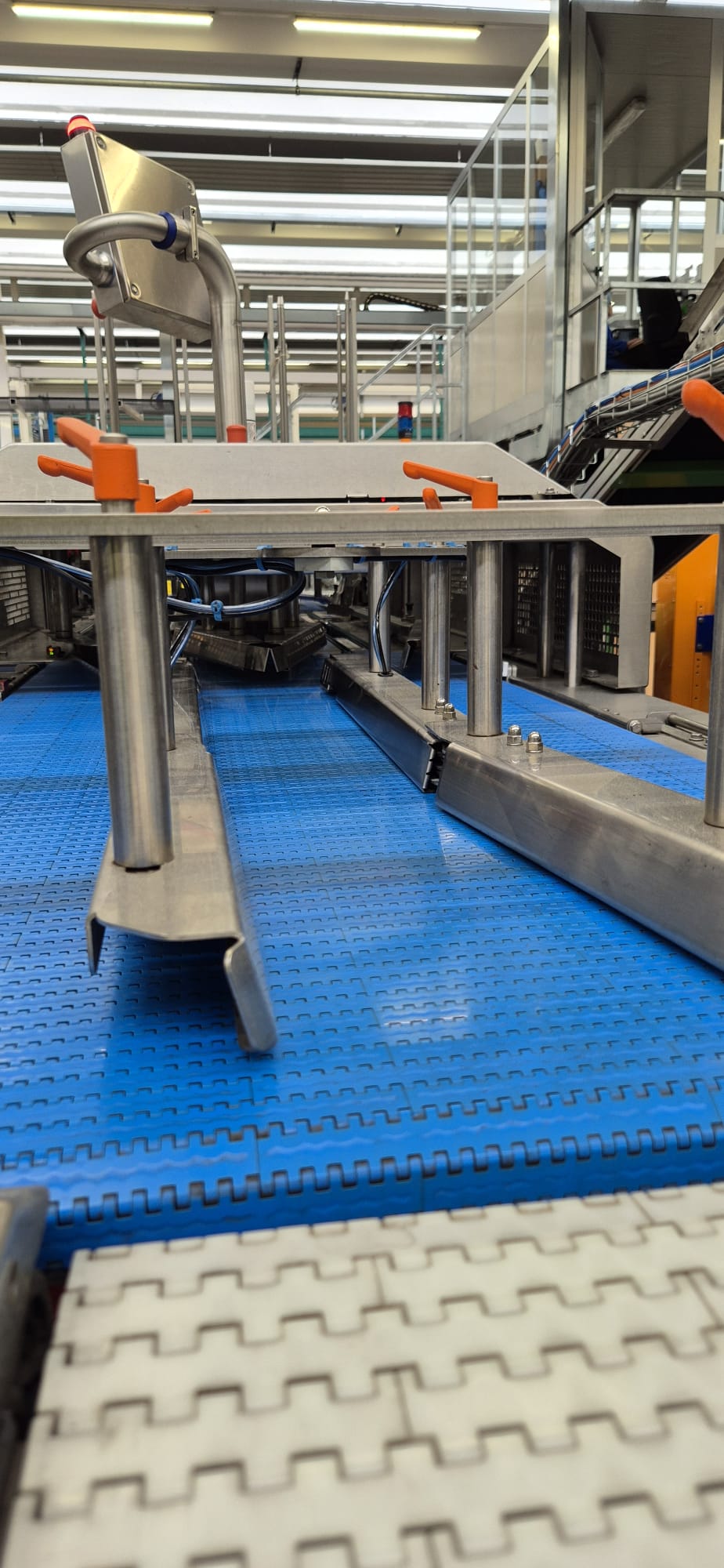Jasa PGS 2100 + SOM-2000 Двухполосная машина для упаковки в картонные лотки