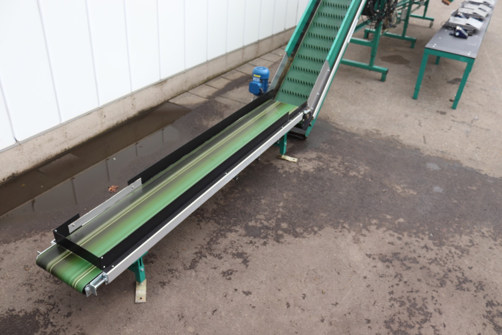 Greefa sorting machine for peppers