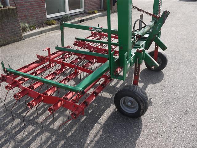 Regent ����� ������ 6 ������