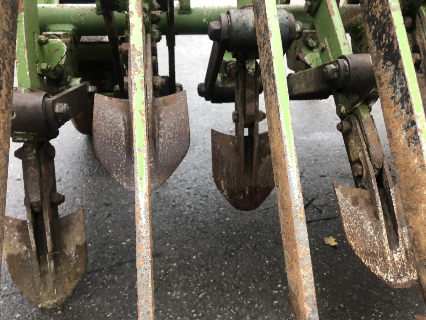 Celli 12-310