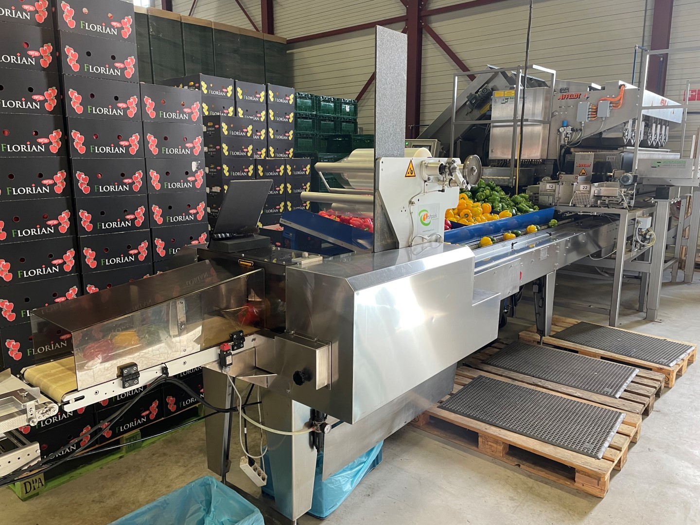 Affeldt weighing machine with GNA flowpacking machine for bell peppers