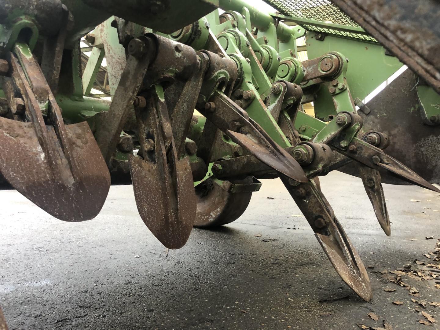 Celli 12-310