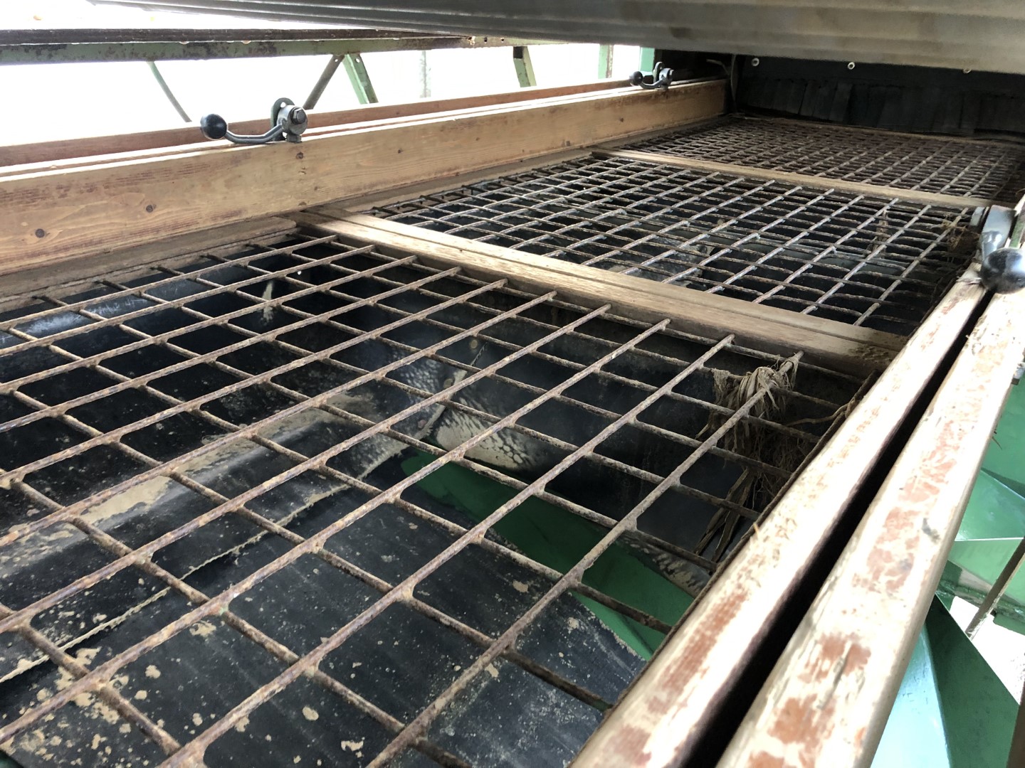 Schouten Kwartet �����a ��� ���������� ���������