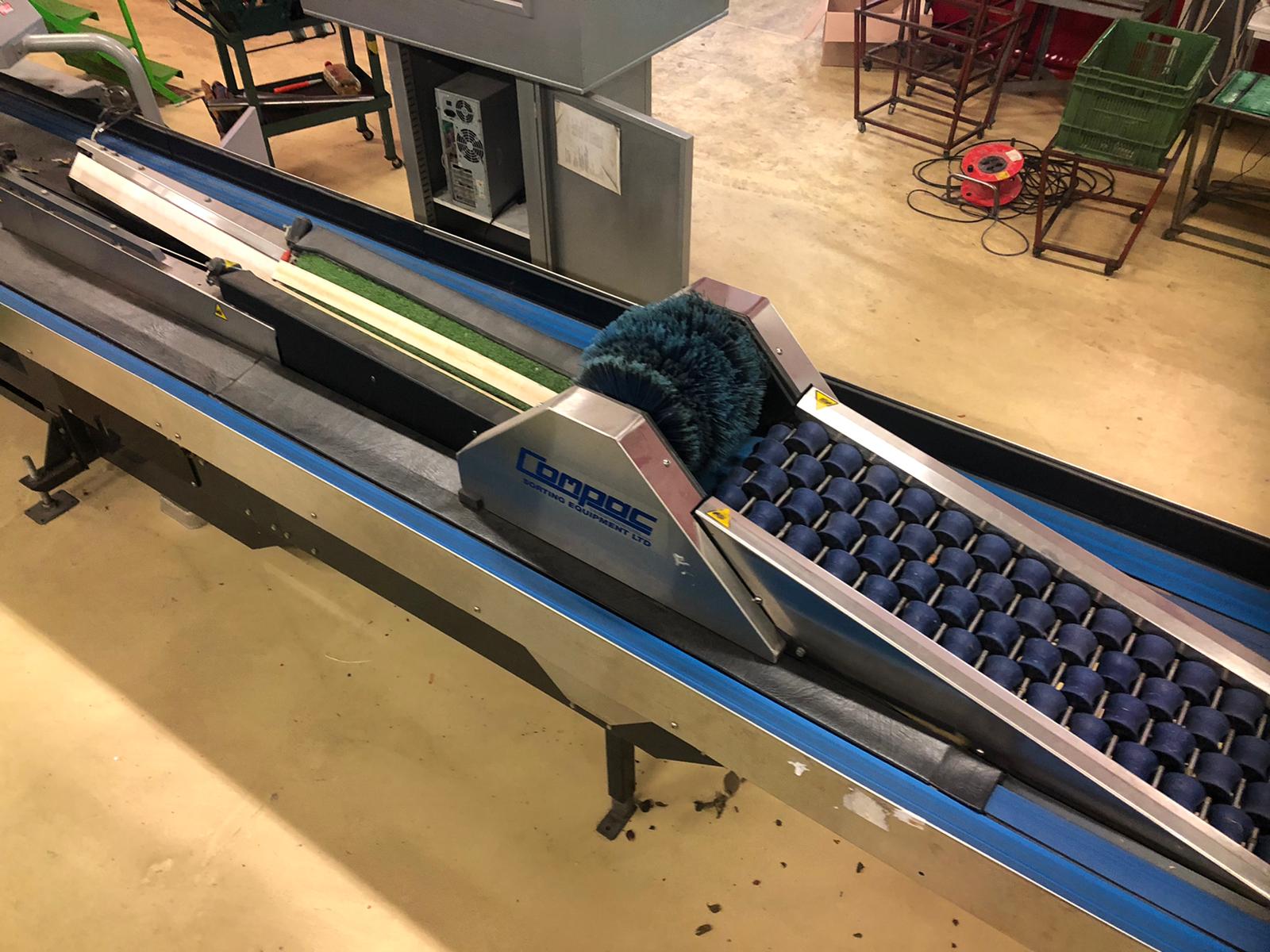 Compac electronic weight grader for apricots and plums