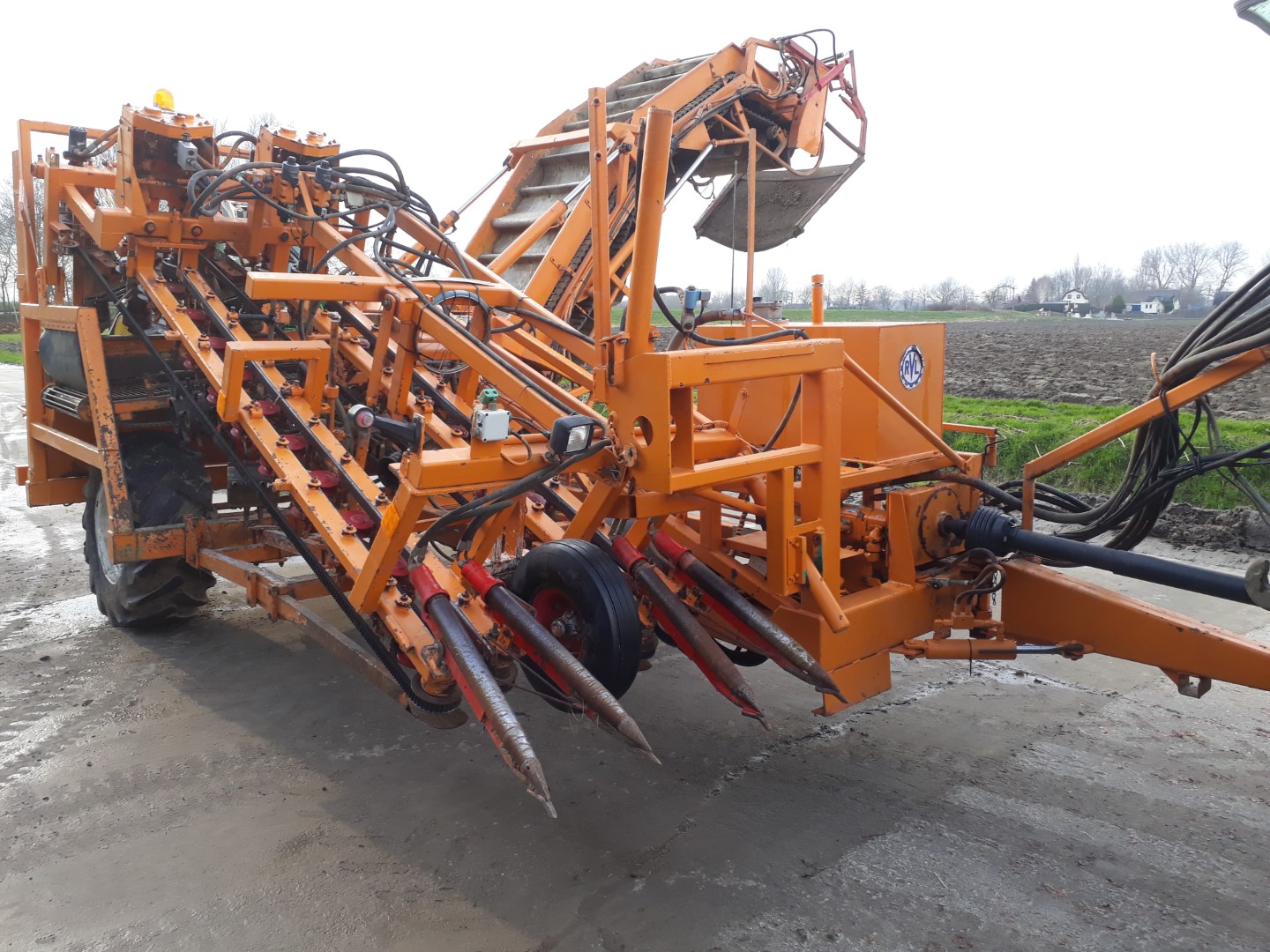 Vecon-RVL carrot harvester 2 rows