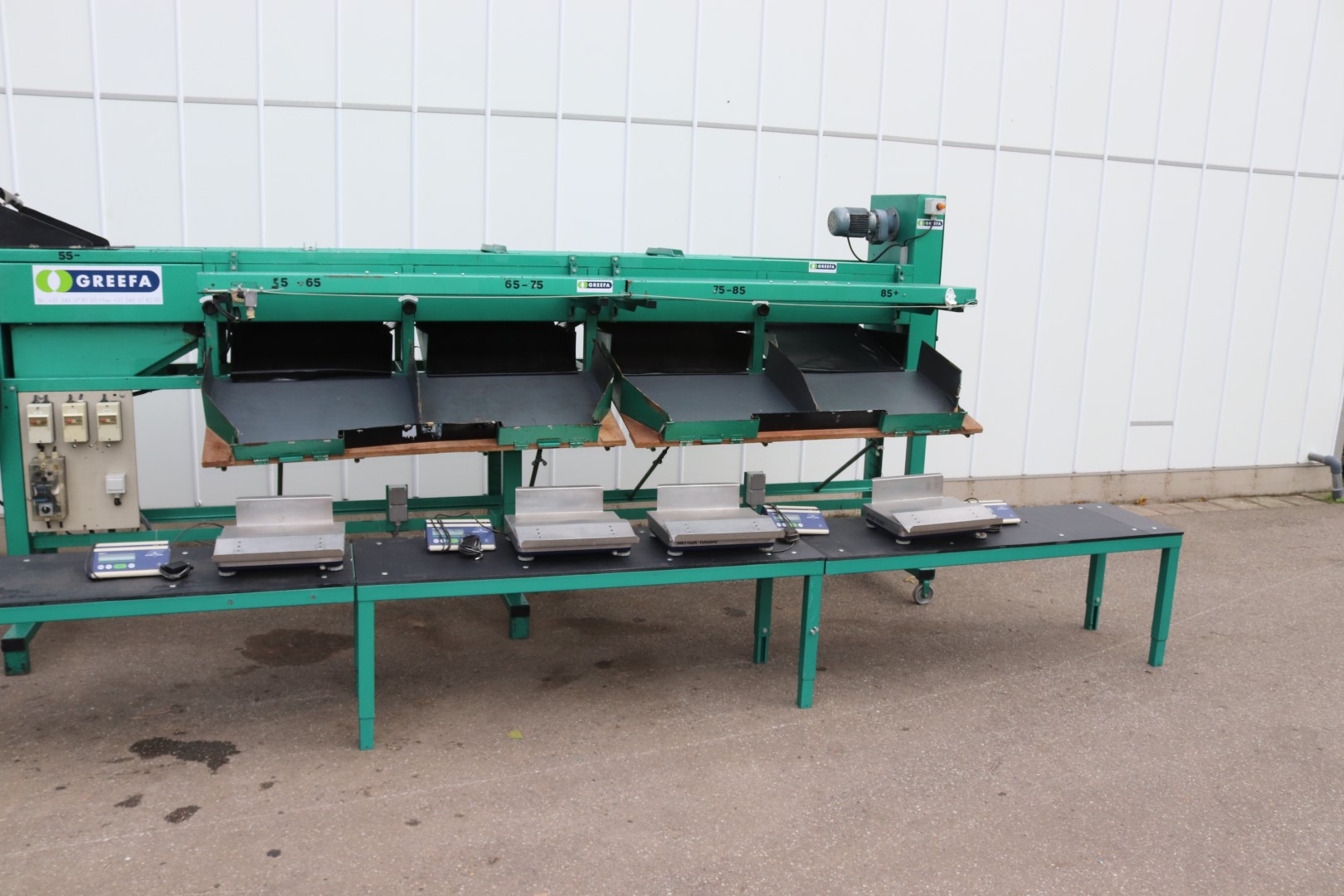 Greefa sorting machine for peppers