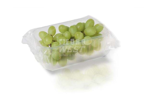 Ilapak Carrera 500 PC flow packaging machine