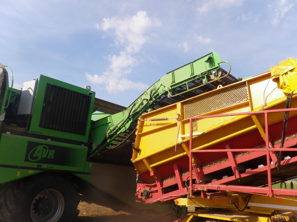 Spinnekop Combine Приемный бункер с очистителем, инспекционным конвейером и подъемником
