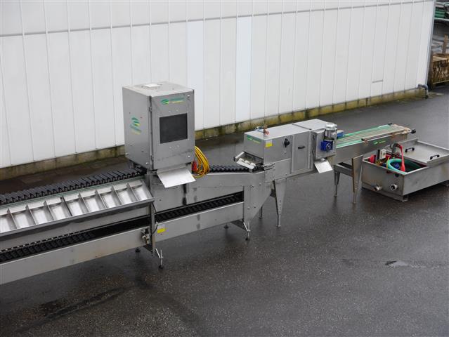 Christiaens Agro Systems fully automatic grading and washing line for asparagus