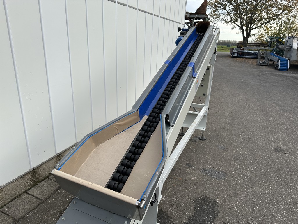Sorma CL1 104 Счётная машины для цитрусовых