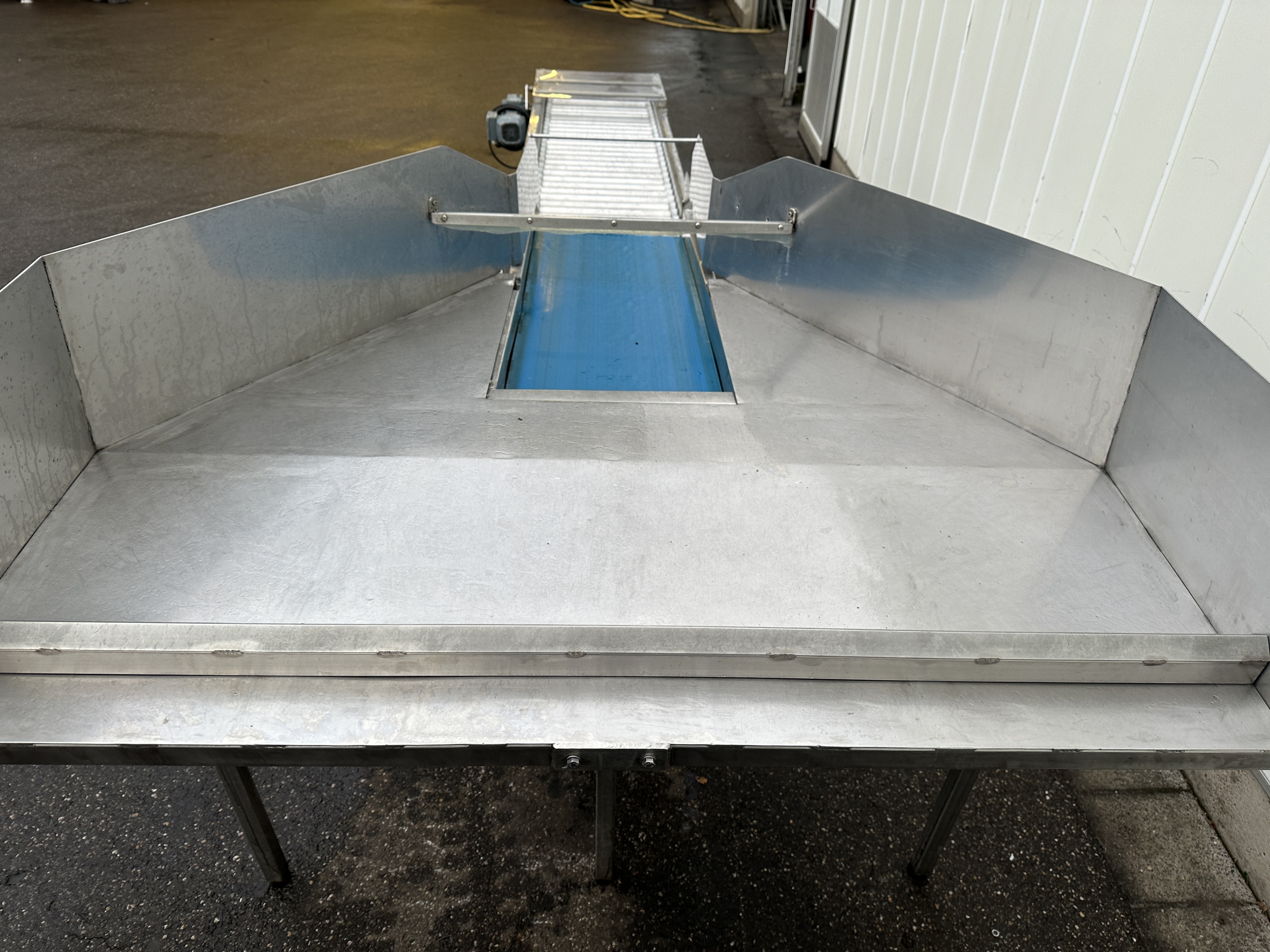 Валковый инспекционный конвейер 210 x 50 см+ подающий конвейер 110 x 41,5 см