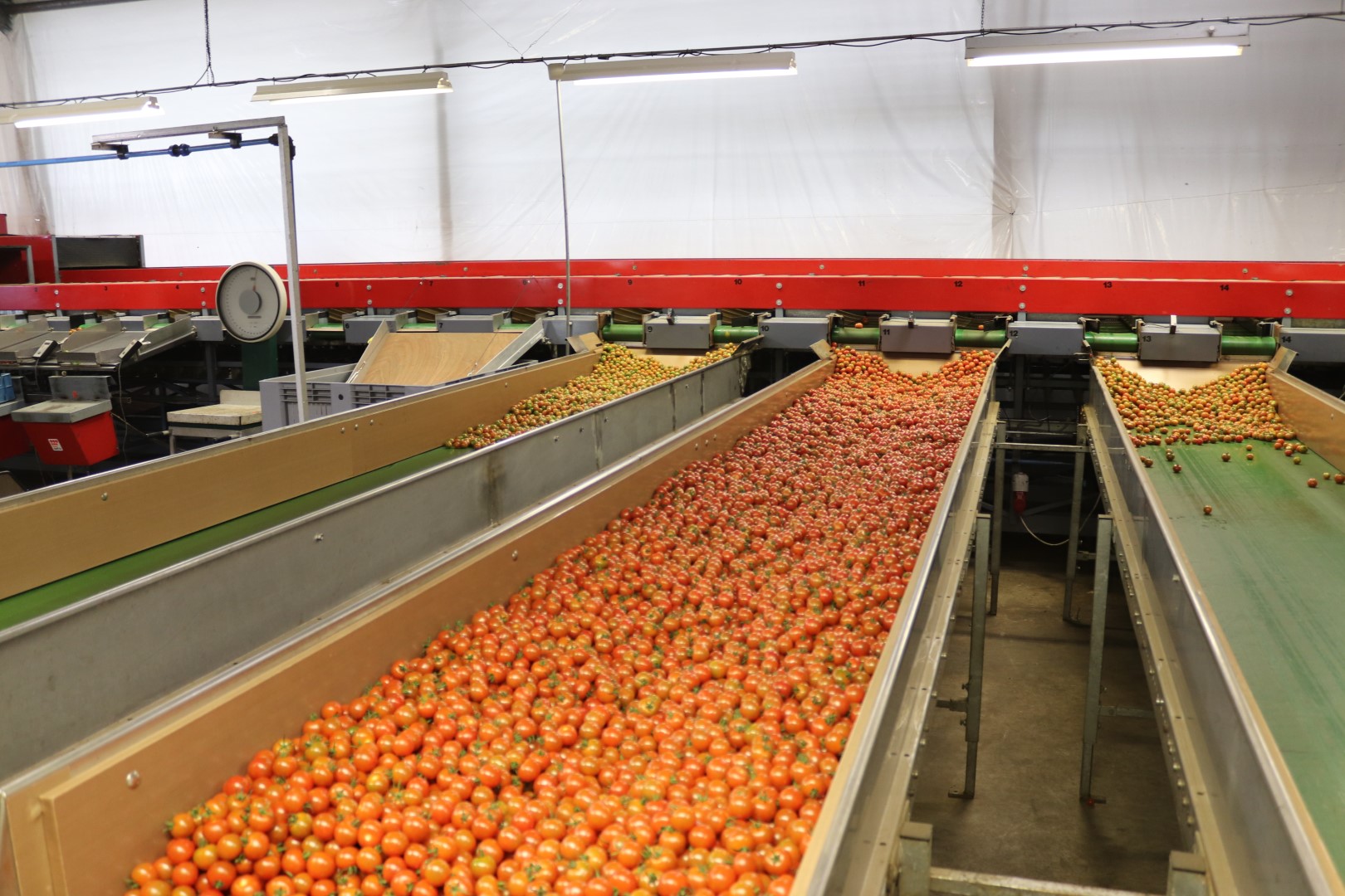 ����� ���������� ��������� ����� � 2 �������������� �������� Aweta KG4-16