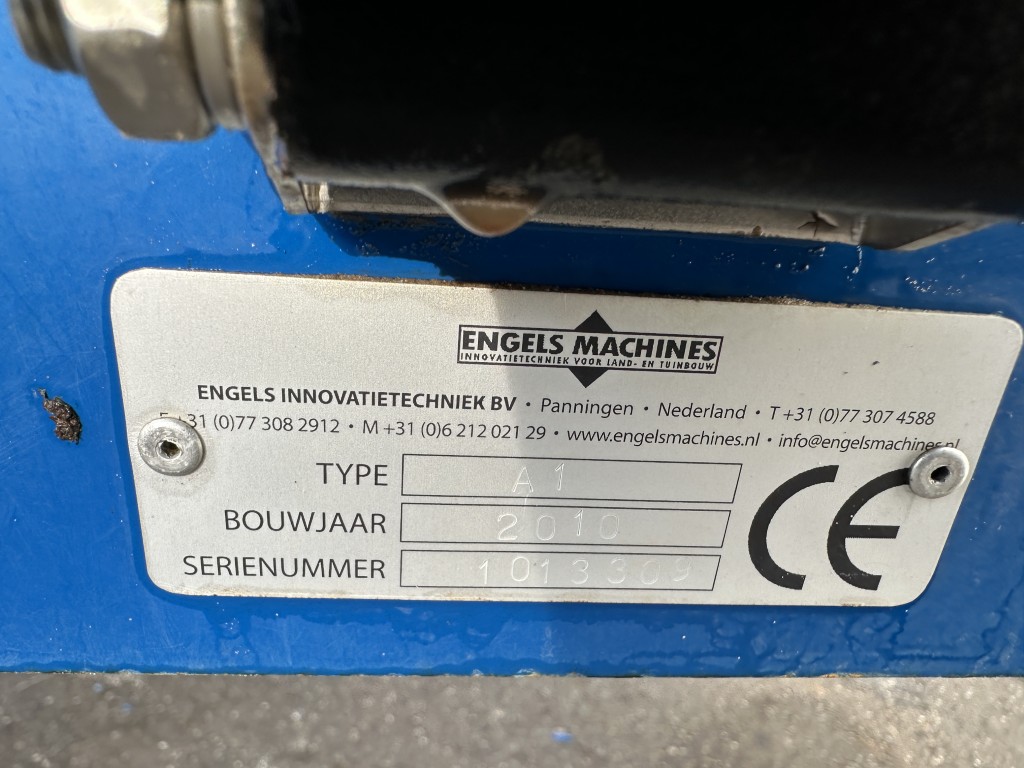 Engels Aspergespin ��� ������