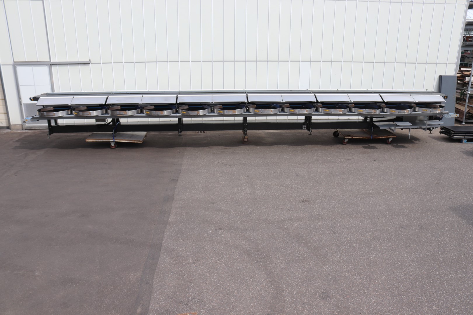Compac electronic weight grader for apricots and plums
