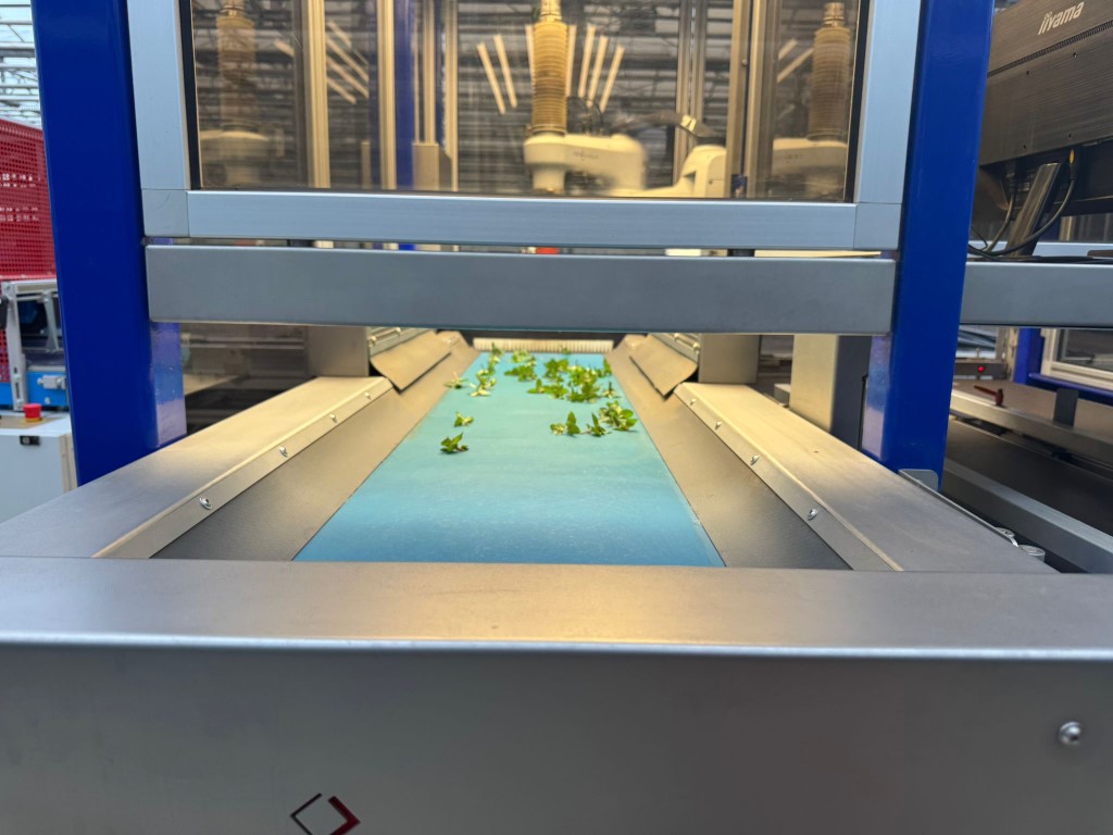 ISO 2500 & Planter Combi Линия для посадки растений Автоматический робот для резки и посадки растений в лотки и горшки