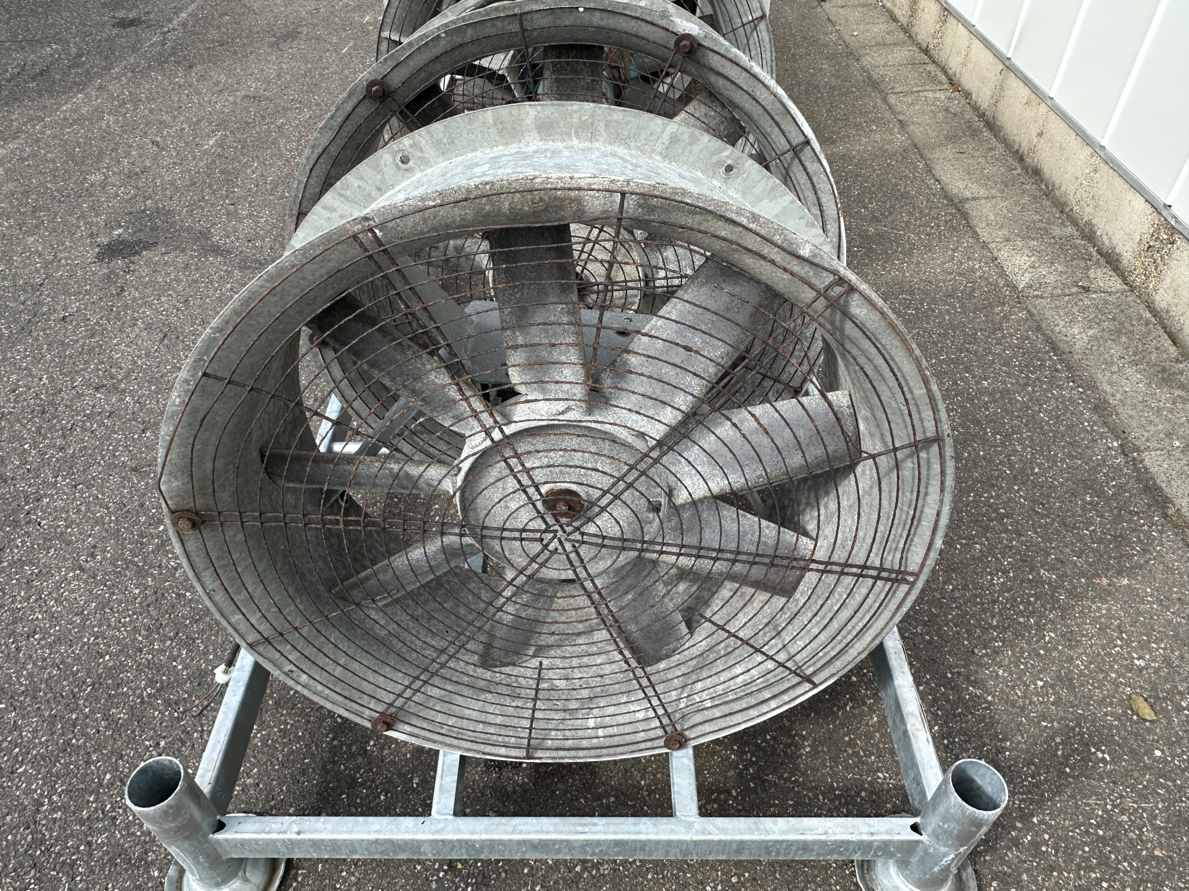 Tolsma ���������� 1,5 ���