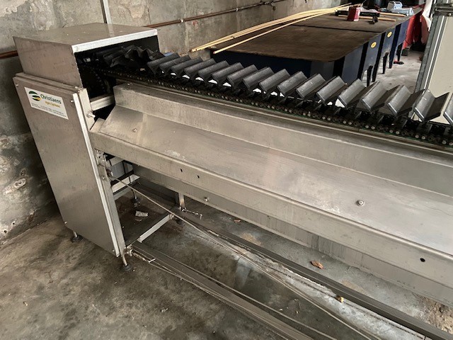 Christiaens Agro Systems fully automatic grading and washing line for asparagus