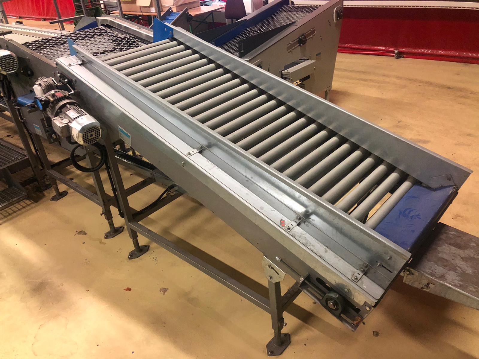 Compac electronic weight grader for apricots and plums