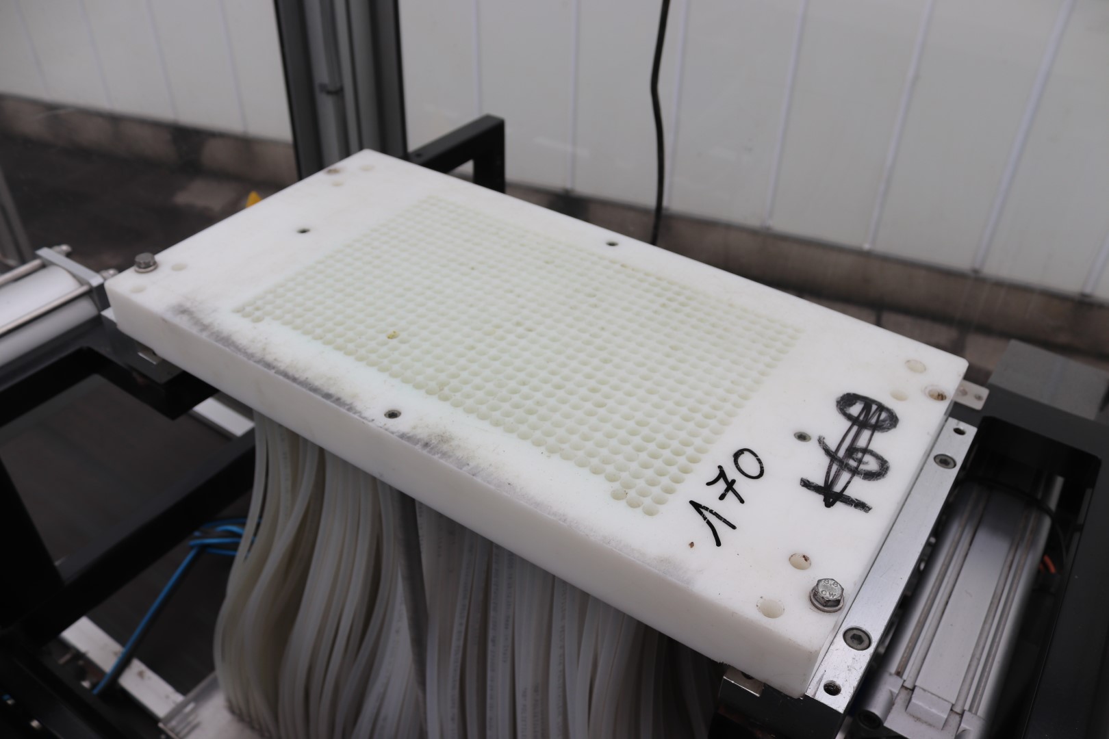 Visser seeding machine for trays