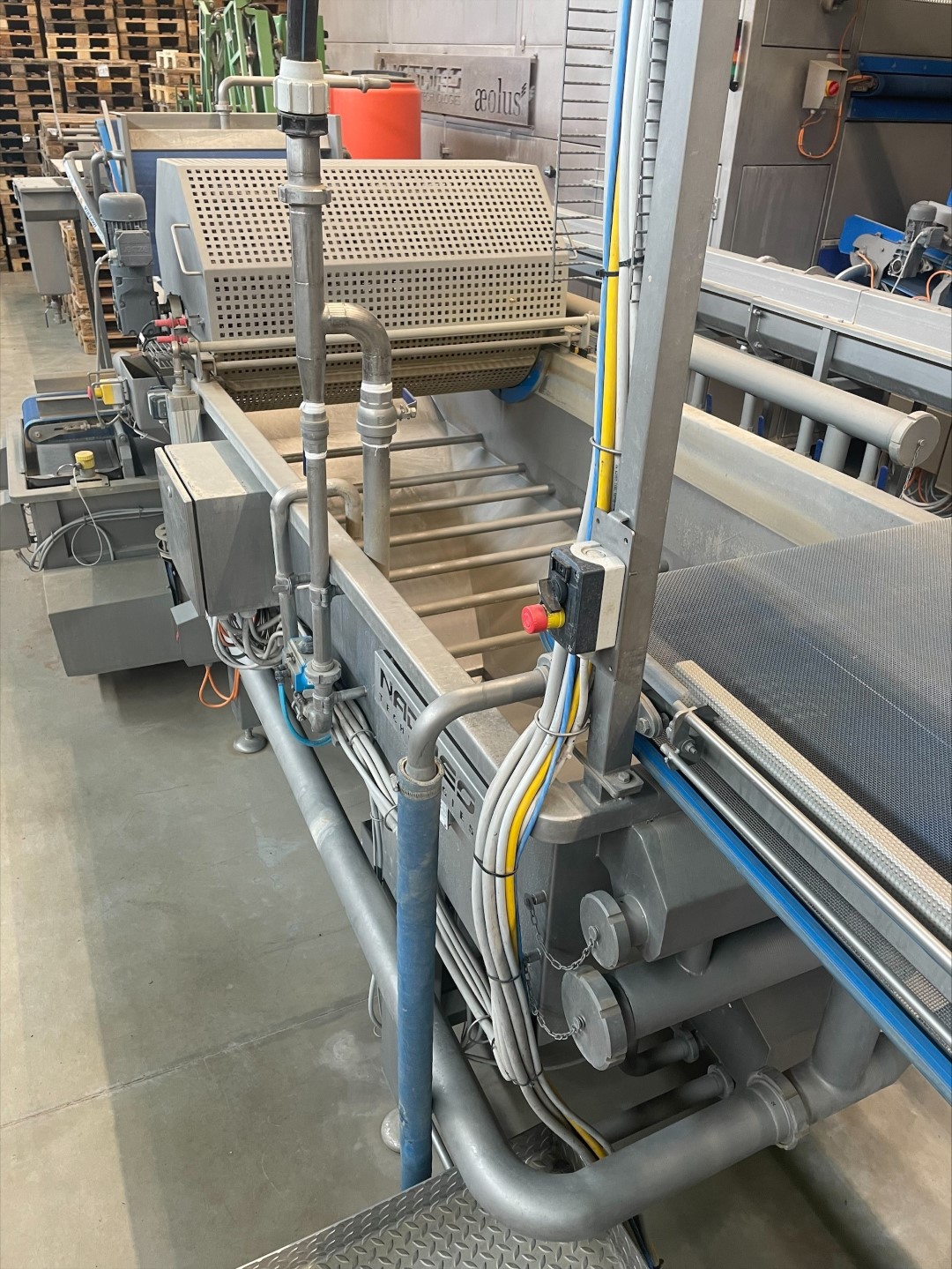 Naddeo Technologies washing and drying line for leafy vegetables