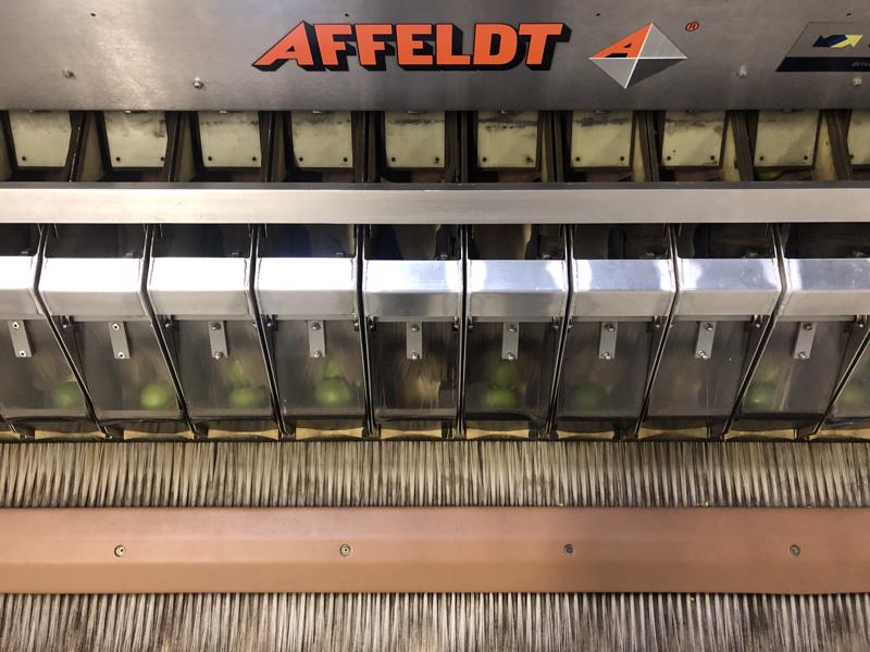 Комбинированный весовой дозатор Affeldt 112 CW с двумя упаковщиками AVN 442 с замком kwik для фруктов