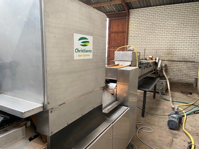 Christiaens Agro Systems fully automatic grading and washing line for asparagus